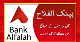 Bank Alfalah Jobs Front Line Trainee Office 2019 For Fresh Graduates