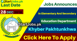 Elementary And Secondary Education Department Jobs