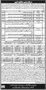 Elementary And Secondary Education Jobs