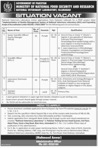 Ministry Of National Food And Security Research Jobs