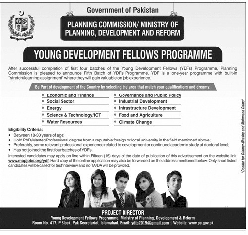 Young Development Fellows Programme