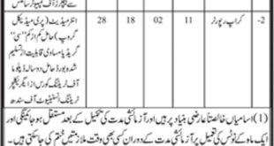 Crop Reporting Service Govt of Sindh Jobs 2019