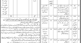 Population Welfare Department Sindh Jobs 2019