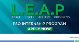 PSO Internship Program 2019