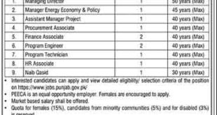 Energy Department Punjab Jobs 2021